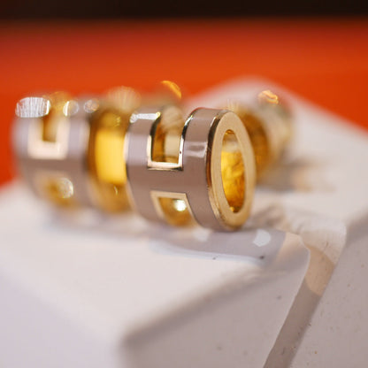 [⭐Hildren Jewelry]MINI POP H GOLD EARRINGS GREY