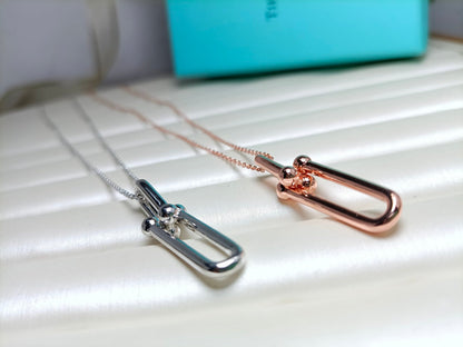 [Hildren Jewelry]HARDWEAR DROP DOUBLE LINK PEDANT NECKLACE