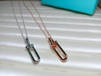 [Hildren Jewelry]HARDWEAR DROP DOUBLE LINK PEDANT NECKLACE