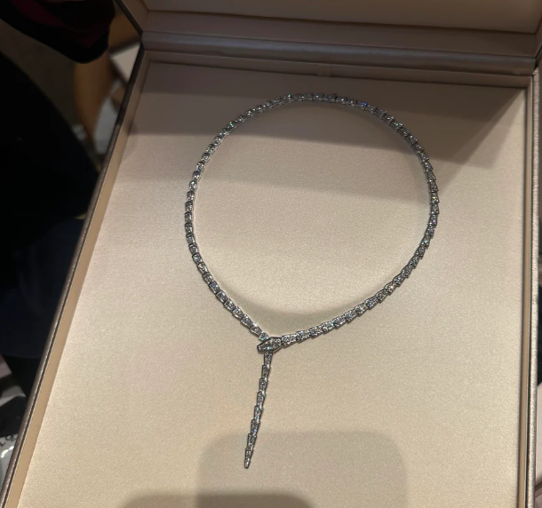 [⭐Hildren Jewelry]NEW！SERPENT DIAMOND NECKLACE