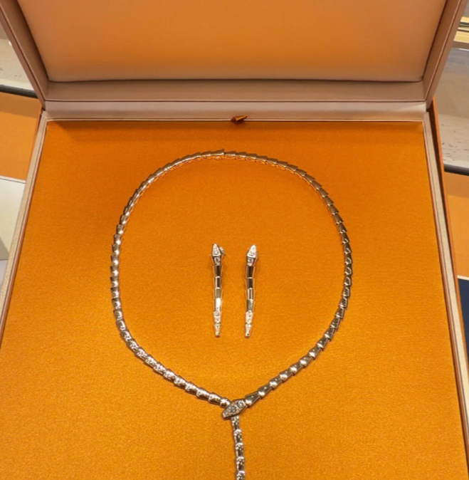 [⭐Hildren Jewelry]NEW！SERPENT DIAMOND NECKLACE