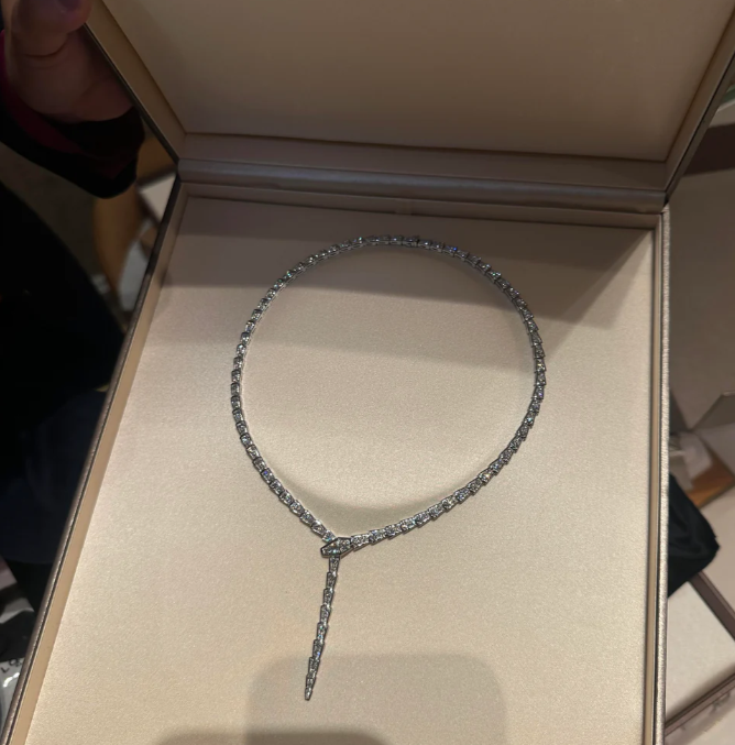 [⭐Hildren Jewelry]NEW！SERPENT DIAMOND NECKLACE